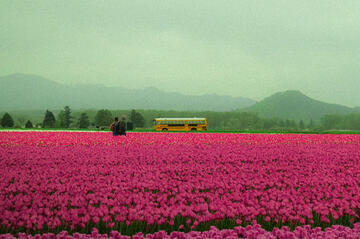 interests + favorites !!